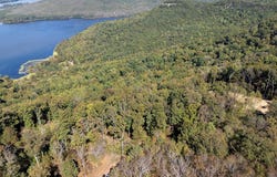 Lot 1 County Road 224, Dutton, AL 35744