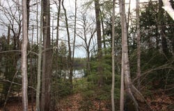 Lot 19-17 Northeast Pond Road, Milton, NH 03851