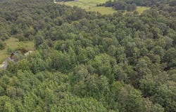 4152 Ponds Tract 6 Road, Maynard, AR 72444