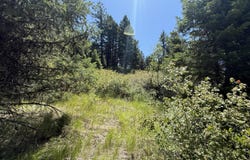 135 SLIPPERY HILL LN, REPUBLIC, WA 99166
