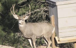 Sunrise Ridge in the Pines, Crawford, NE 69339
