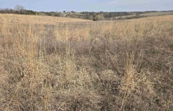 330th Avenue, Chariton, IA 50049