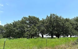 Deer Haven Tract 4 County Road 265, Gatesville, TX 76528