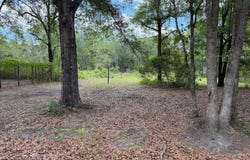00 LIL DIXIE DRIVE, SANDERSON, FL 32087