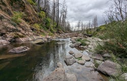 1021 ROCK CREEK RD, Idleyld Park, OR 97447