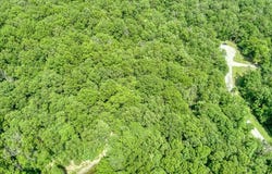 1.07 AC Hemlock Lane, Spencer, TN 38585