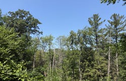 0 62ND ST. ROAD, SAUGATUCK, MI 49453