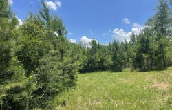 TBD Hollis Lane, Prentiss, MS 39474