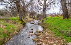 19944 Shenandoah School Rd, Plymouth, CA 95669