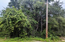 5572 DEERLODGE Court, Keystone Heights, FL 32656