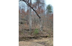 Cow Creek (Map 015-00-00-034), Salyersville, KY 41465