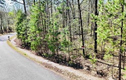 Hendaya Way, Hot Springs Village, AR 71909