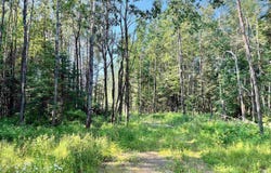 10553 OLD 8 Road, CRANDON, WI 54520