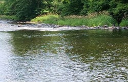 141 Perry Mills Road, Champlain, NY 12919
