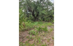 2354 MARCELLA Terrace, PUNTA GORDA, FL 33983