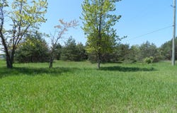 6274 S US-31, Grawn, MI 49637