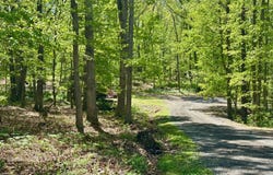 125 ENDER DRIVE, MOOREFIELD, WV 26836