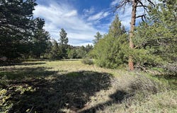 29655 HWY 64, Ute Park, NM 87749