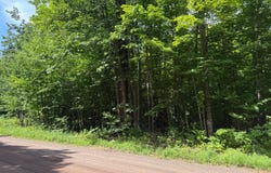 On SHOTGUN RD, Ironwood, MI 49938
