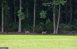 33915 SHOCKLEY ROAD, PARSONSBURG, MD 21849