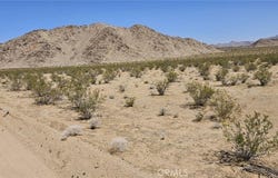 800 Brucite St. Avenue, Lucerne Valley, CA 92356