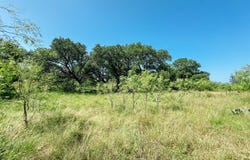 3105 Morris Sheppard Drive, Brownwood, TX 76801