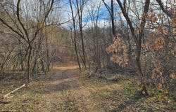 38 Chipmunk Ridge Rd, Stoddard, WI 54658