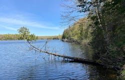 ON WAYNE DR, Presque Isle, WI 54557