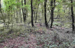 Williams North St, Horatio, AR 71842