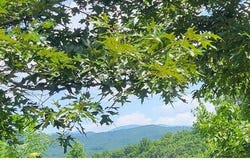 24 Mountain Knoll Lane, Warne, NC 28909