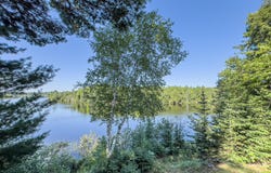 ON CHANEY LAKE RD, Bessemer Twp, MI 49911