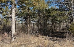 Warden  RD, Omaha, AR 72662