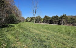 BERRY FARM RD lot: 5, STAUNTON, VA 24401