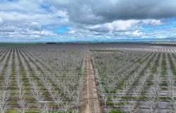 22198 Road 180, Lindsay, CA 93247