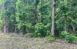 Ashborough Drive, Cottondale, AL 35453