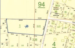 SPRINGVILLE BOULEVARD lot: 0, ONEONTA, AL 35121