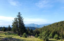 WILEY CREEK ROAD Road, Dayville, OR 97825