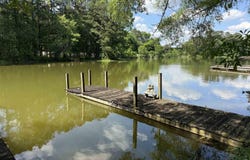 311 SEDDON ROAD, RIVERSIDE, AL 35135
