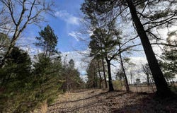 Tract 7 Venus Rd, Gladewater, TX 75647