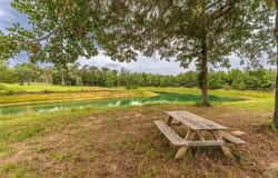 1126 Abel Road, New Ulm, TX 78950
