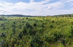 20ac Ouzts, Edgefield, SC 29824