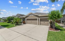 1010 BETTER DAYS PLACE, VALRICO, FL 33594