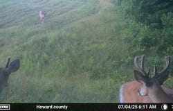 460 County Road 208, Fayette, MO 65248