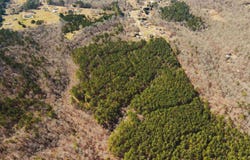 10300 RISING FAWN CIRCLE lot: 10300/10382/1659, WARRIOR, AL 35180