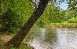 Lot 17 Misty Mountain Trail, Ellijay, GA 30540