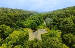 0 Jefferly Road, Dexter City, OH 43731