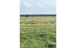 6995 County Road 204, San Saba, TX 76877