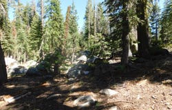 Kitch Trail, Tamarack, CA 95223