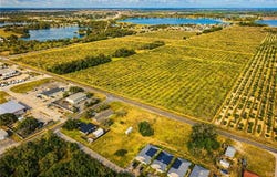 298 County Road 17A W, Avon Park, FL 33825