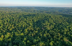 TBD County Road 1050, Willow Springs, MO 65793